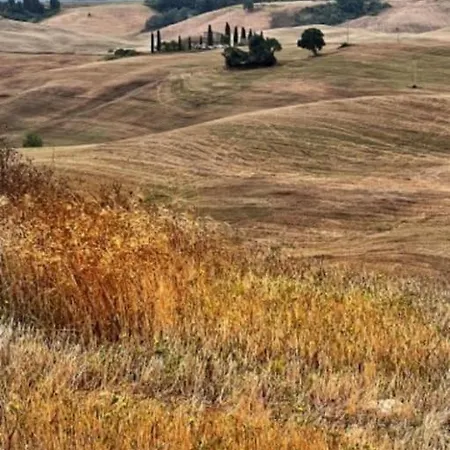 La Casa Di Orazio Semesterbostad Montecatini Val di Cecina