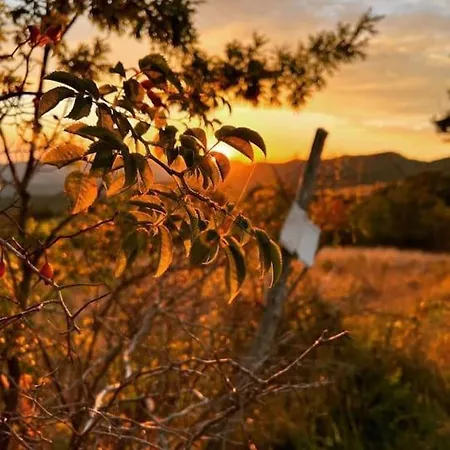 La Casa Di Orazio Holiday home