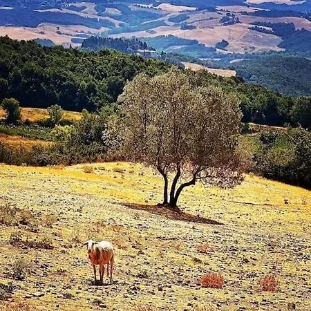 La Casa Di Orazio *