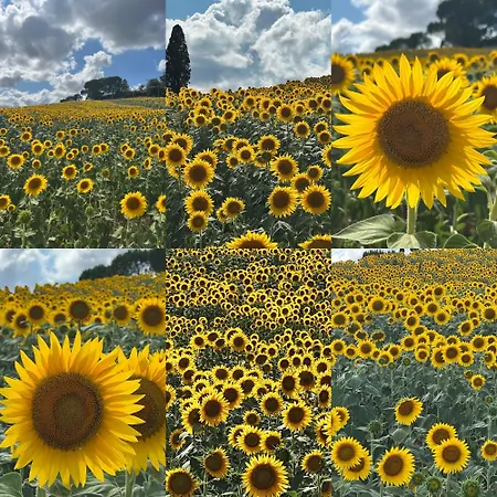 La Casa Di Orazio בית נופש