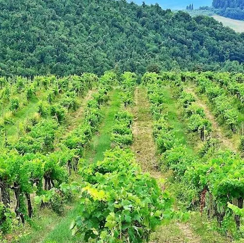 בית נופש La Casa Di Orazio *