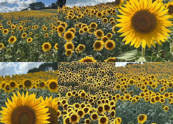 La Casa Di Orazio בית נופש